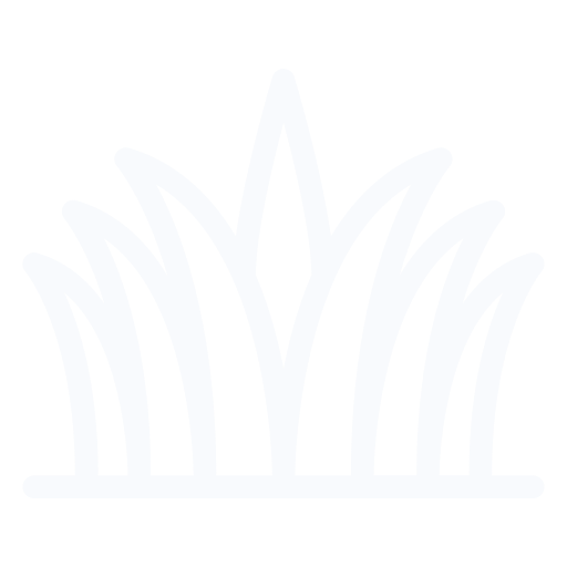 image (2)